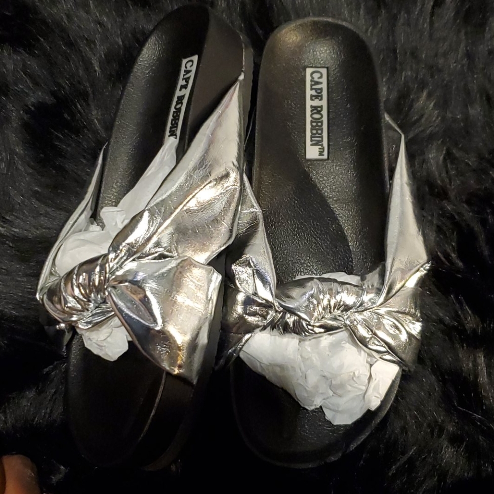Sliver and Black slides